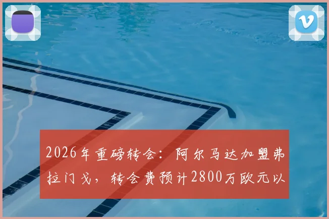 2026年重磅转会：阿尔马达加盟弗拉门戈，转会费预计2800万欧元以内，阿根廷新星下一站巴西