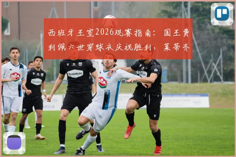 西班牙王室2026观赛指南：国王费利佩六世穿球衣庆祝胜利，莱蒂齐亚王后穿搭解析及王室支持球队盘点